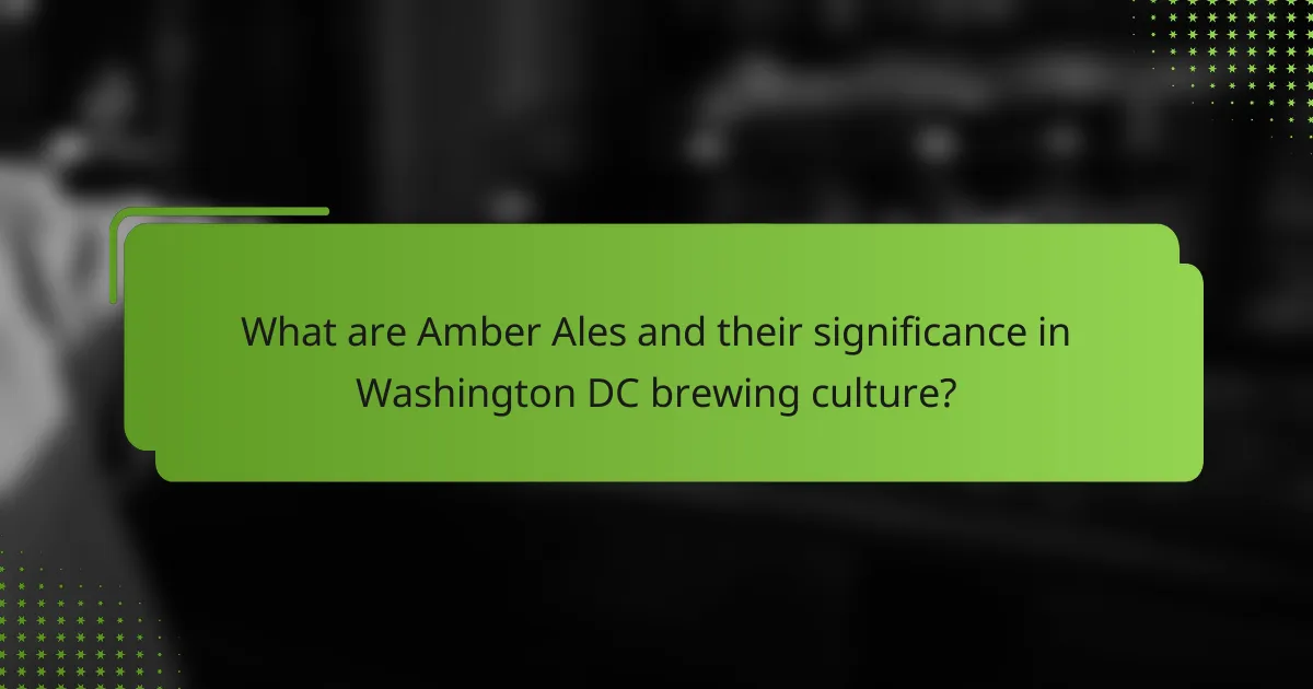 What are Amber Ales and their significance in Washington DC brewing culture?