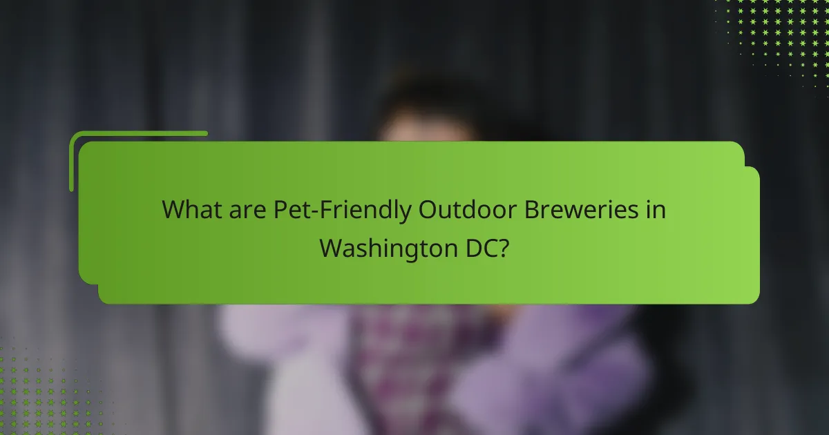 What are Pet-Friendly Outdoor Breweries in Washington DC?