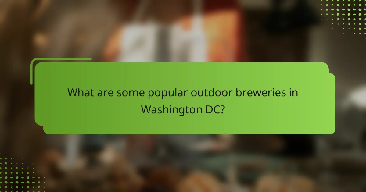 What are some popular outdoor breweries in Washington DC?