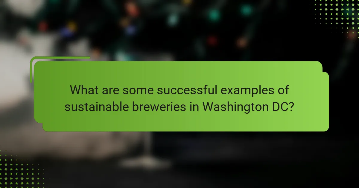 What are some successful examples of sustainable breweries in Washington DC?