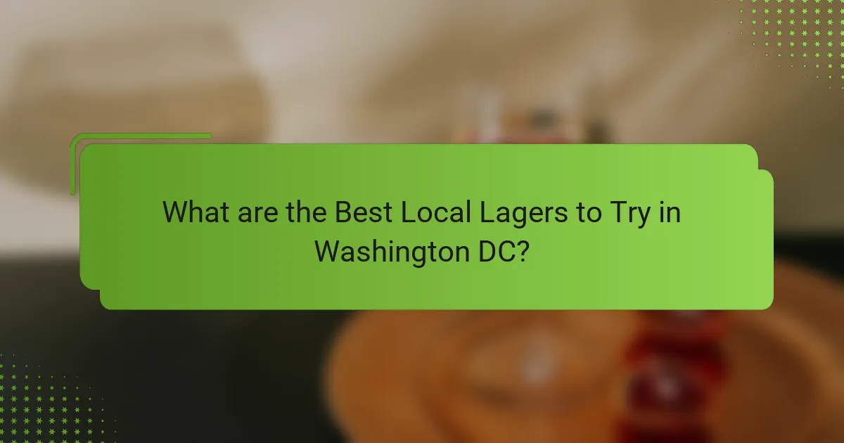 What are the Best Local Lagers to Try in Washington DC?