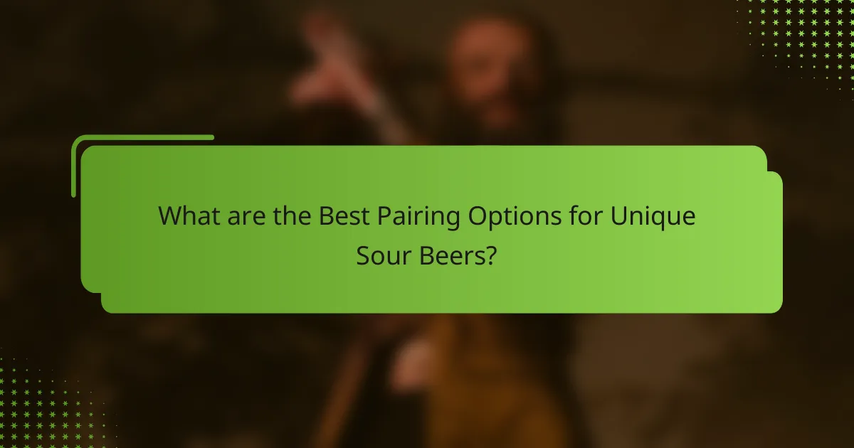 What are the Best Pairing Options for Unique Sour Beers?