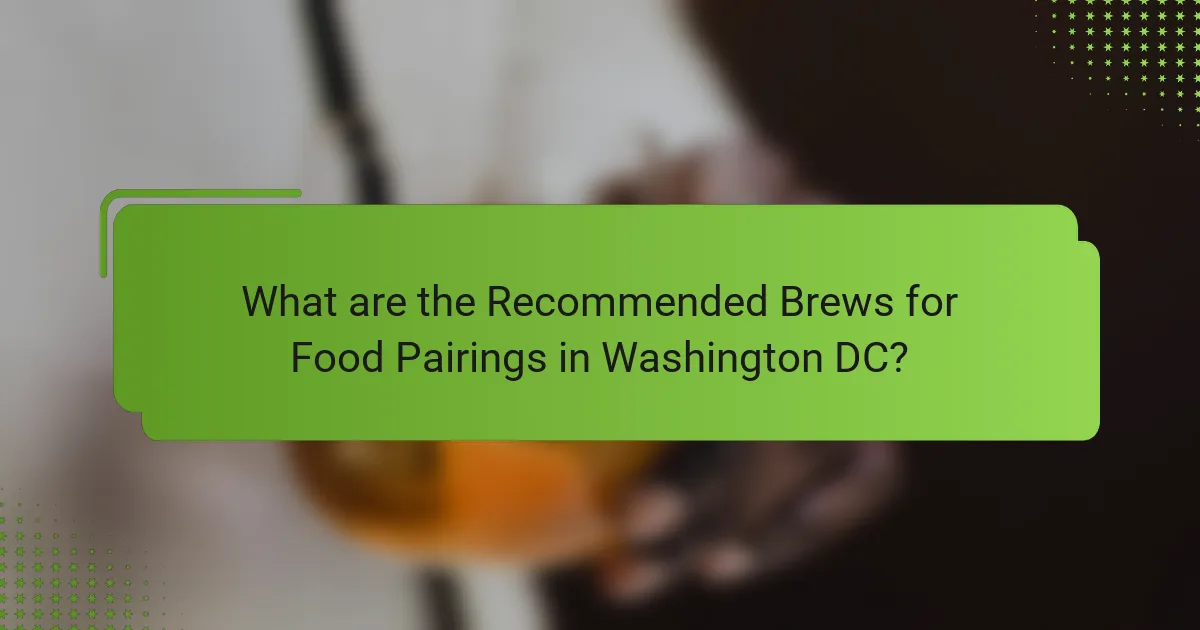 What are the Recommended Brews for Food Pairings in Washington DC?