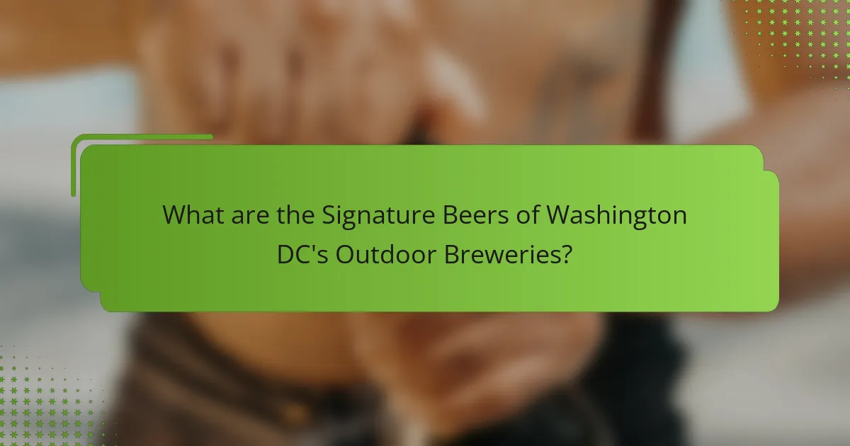 What are the Signature Beers of Washington DC's Outdoor Breweries?