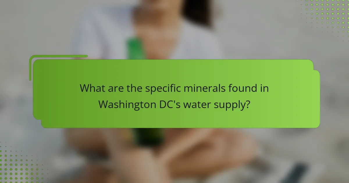 What are the specific minerals found in Washington DC's water supply?