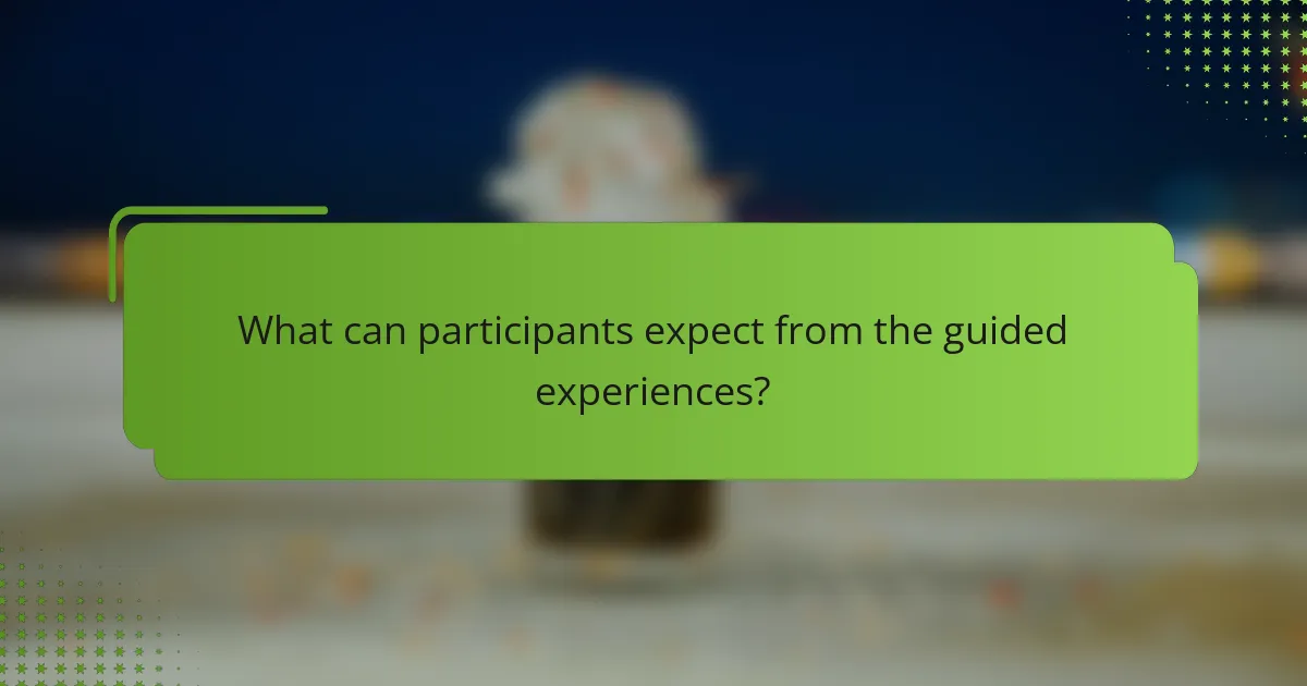 What can participants expect from the guided experiences?