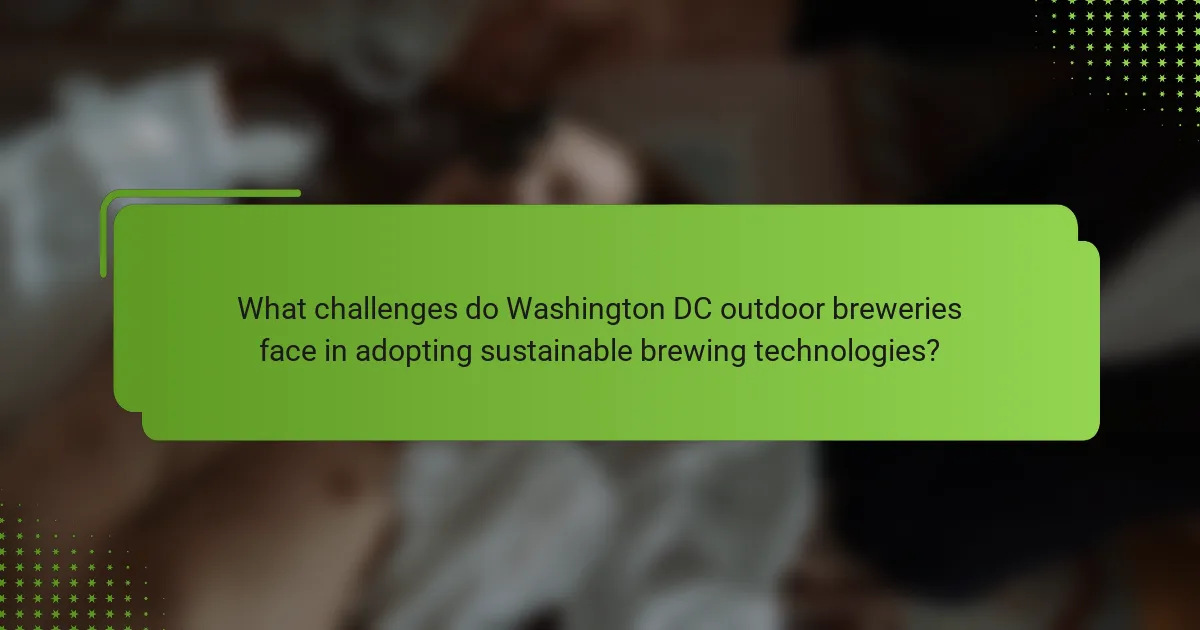 What challenges do Washington DC outdoor breweries face in adopting sustainable brewing technologies?
