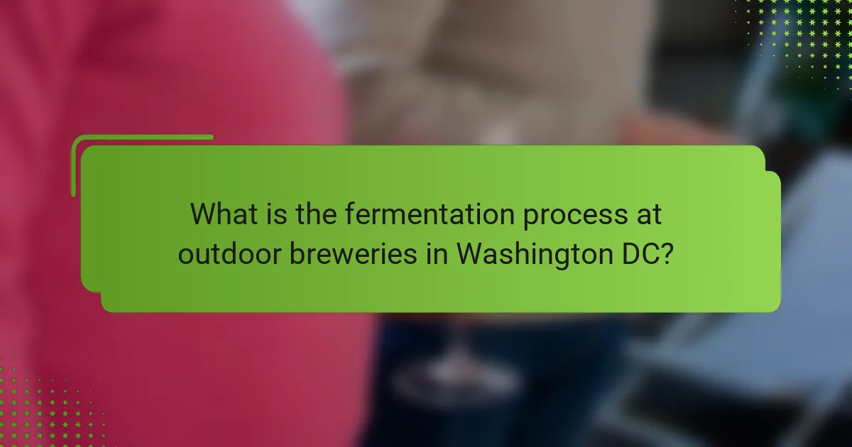 What is the fermentation process at outdoor breweries in Washington DC?