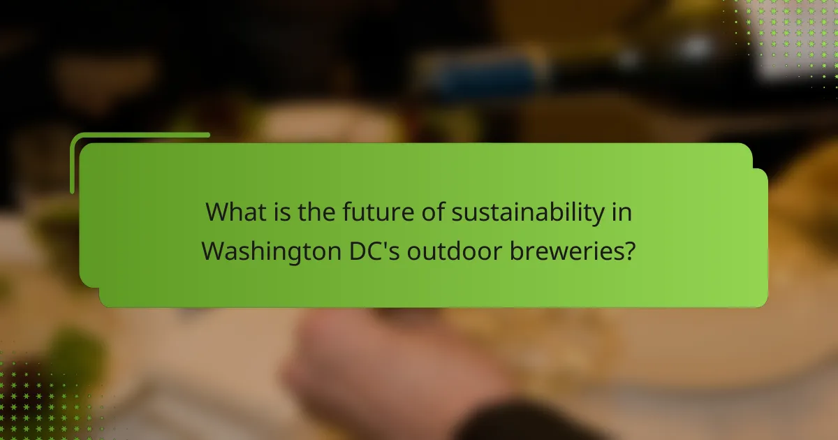 What is the future of sustainability in Washington DC's outdoor breweries?