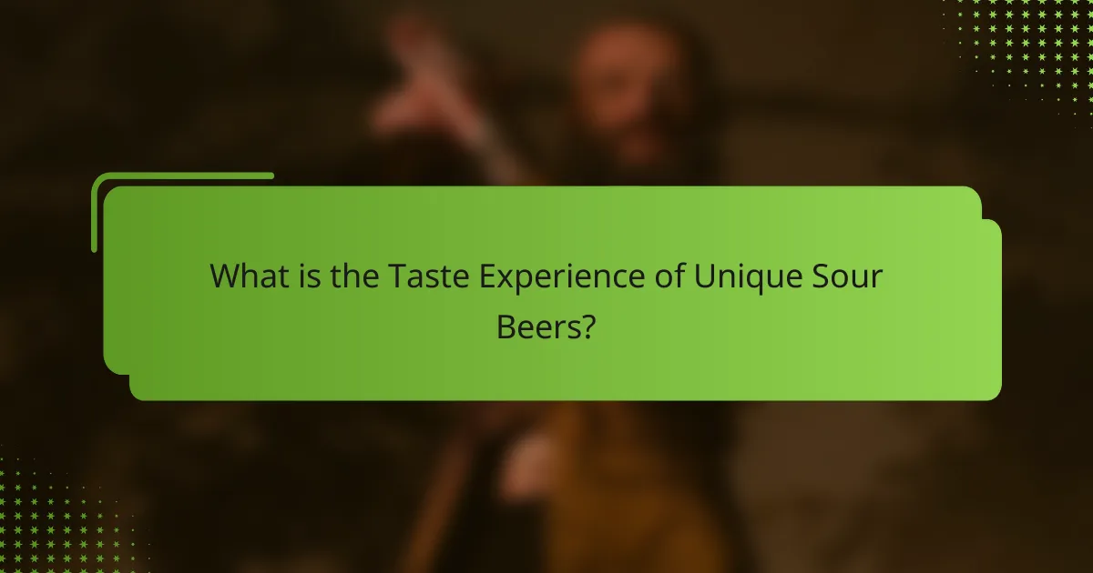 What is the Taste Experience of Unique Sour Beers?